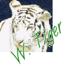 White Tiger